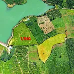Bán đất nông nghiệp 2 hectare tại Bắc Gia Nghĩa, Lâm Đồng - Ảnh thu nhỏ 1