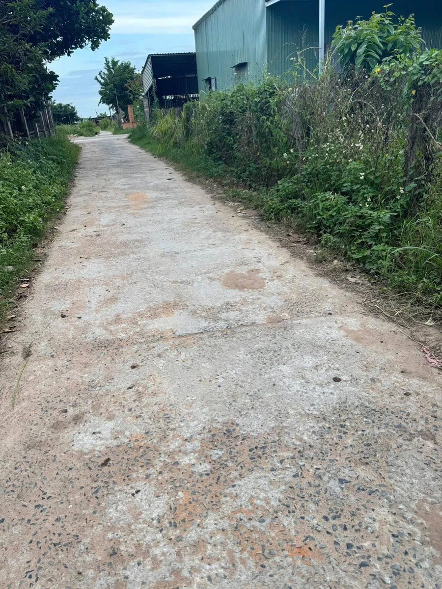 Bán đất Cây trồng lâu năm 1,5 sào Hàm Liêm - Ảnh thu nhỏ 2