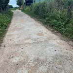Bán đất Cây trồng lâu năm 1,5 sào Hàm Liêm - Ảnh thu nhỏ 2