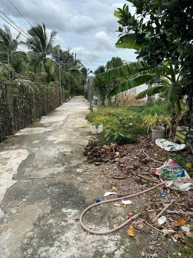 Bán nền có thổ cư 141m2 tại Phường Phú Tân, Bến Tre, giá 700 triệu - Ảnh thu nhỏ 2