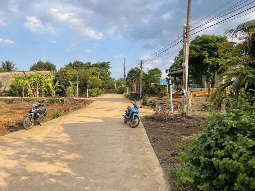 Bán đất nhà vườn 1.000m² mặt tiền Đường 23, Sông Trầu, Trảng Bom, Đồng Nai - Ảnh thu nhỏ 2