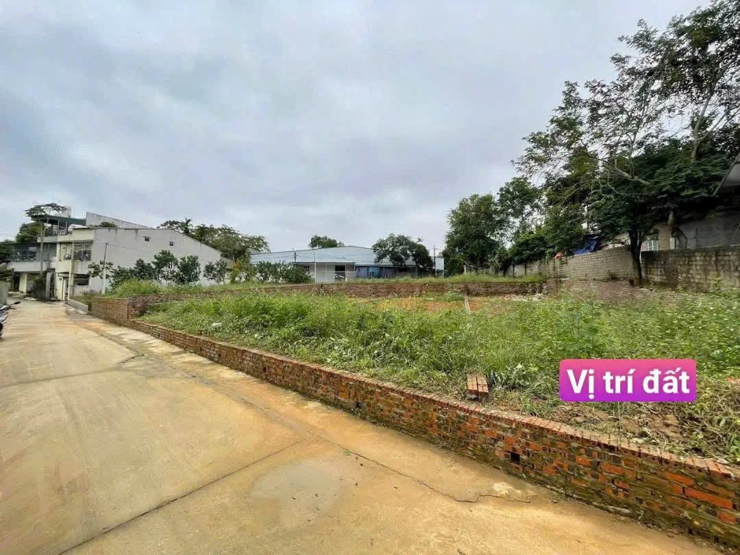 Bán đất 211m² sổ đỏ riêng tại Suối Hai, Hà Nội - 500 triệu - Ảnh thu nhỏ 3