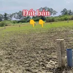 Bán đất nền 180m2 (6x30) Gò Công Tây, Tiền Giang 310 triệu - Ảnh thu nhỏ 2