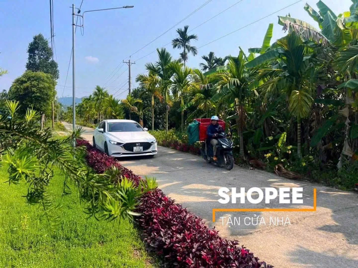 Bán đất Đạ Tẻh Lâm Đồng 300m2 giá 289 triệu - Ảnh thu nhỏ 5