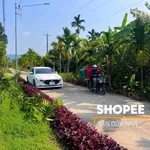 Bán đất Đạ Tẻh Lâm Đồng 300m2 giá 289 triệu - Ảnh thu nhỏ 5