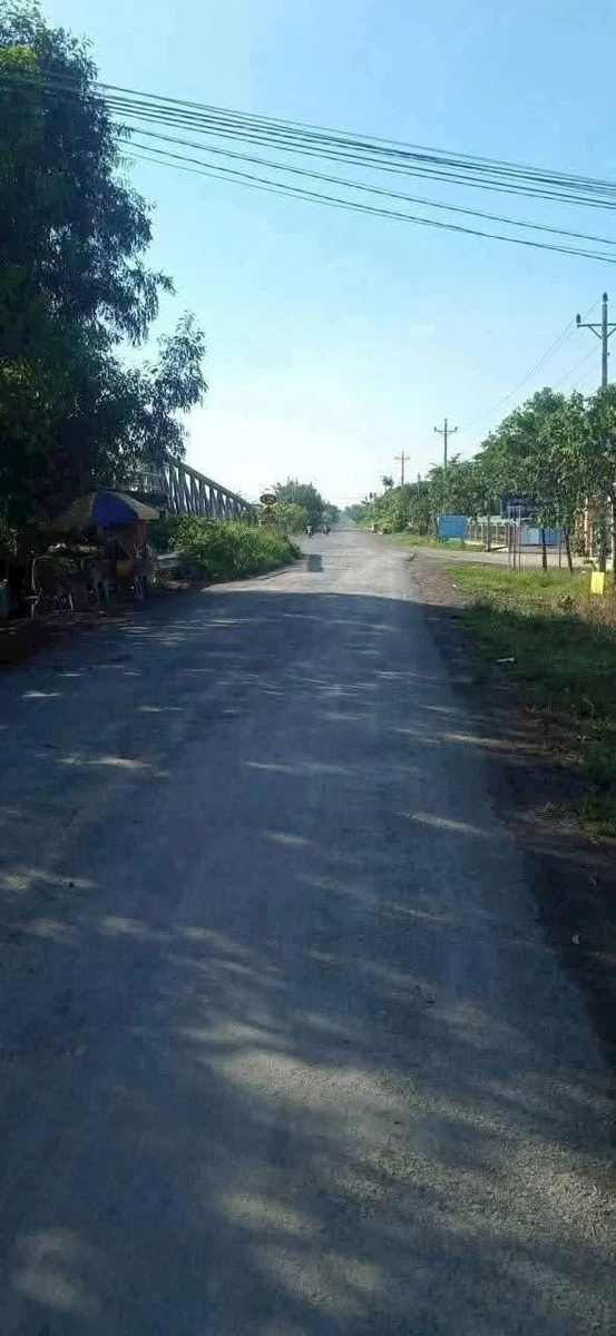 Bán đất thổ cư và lúa mặt tiền đường đê 1907m² Tân Thành - Ảnh thu nhỏ 2