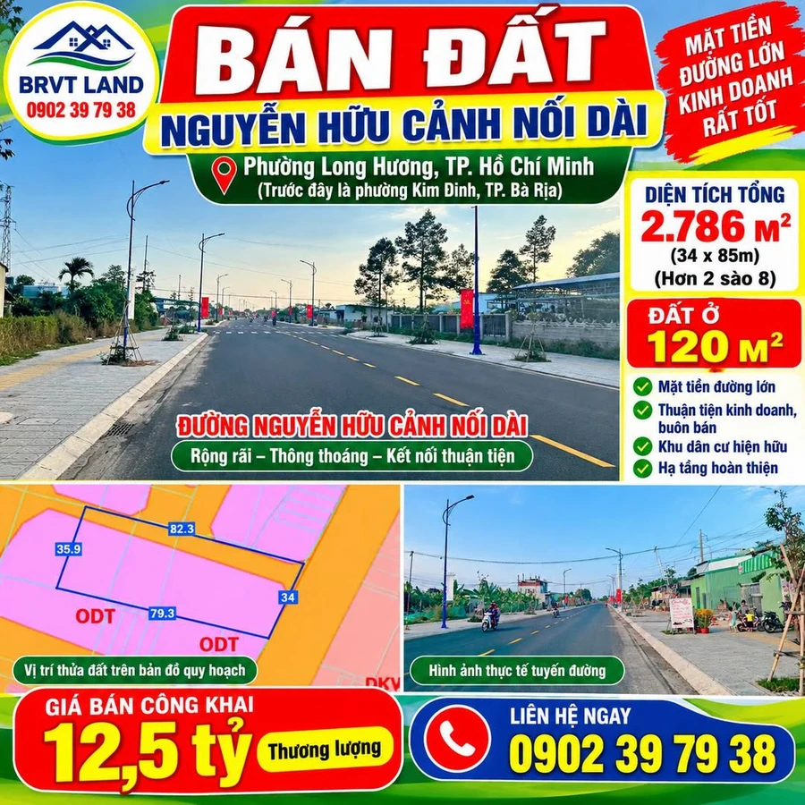 Bán đất mặt tiền Nguyễn Hữu Cảnh nối dài 34x85m Bình Chánh - Ảnh 1