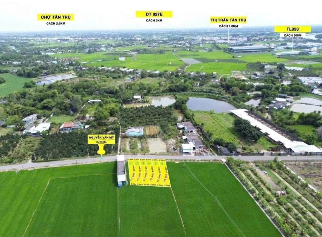 Bán đất mặt tiền 175m² Tân Trụ Bình Dương 899 triệu - Ảnh thu nhỏ 3
