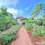 Nhà vườn 420m2 bán 2,5 tỷ Cần Giờ - Ảnh thu nhỏ 5