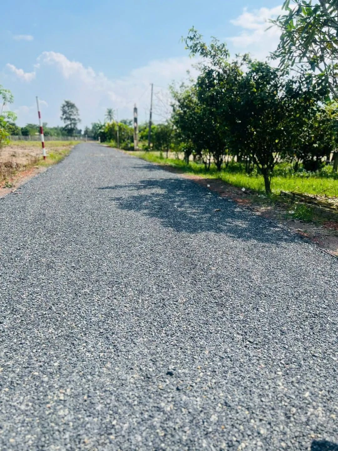 Bán đất mặt tiền 50m² Xã Trí Bình, Tây Ninh 250 triệu - Ảnh 1