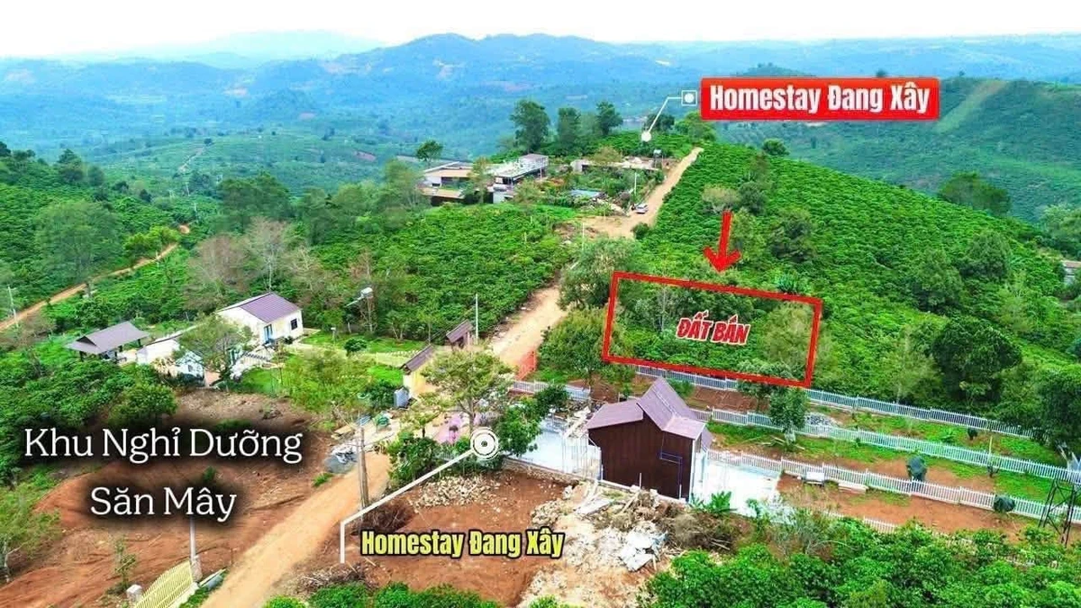 Bán lô đất biệt thự 325,5m² kp2 gần chợ Trảng Dài, 9 tỷ giabannhanh - Ảnh 1