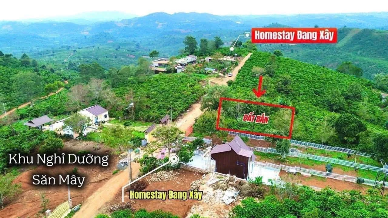 Bán lô đất biệt thự 325,5m² kp2 gần chợ Trảng Dài, 9 tỷ giabannhanh - Ảnh 1