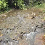 Bán đất giáp Suối Đá lớn - có sẵn thổ cư - mặt tiền nhựa lớn - khu dân cư - Ảnh thu nhỏ 1