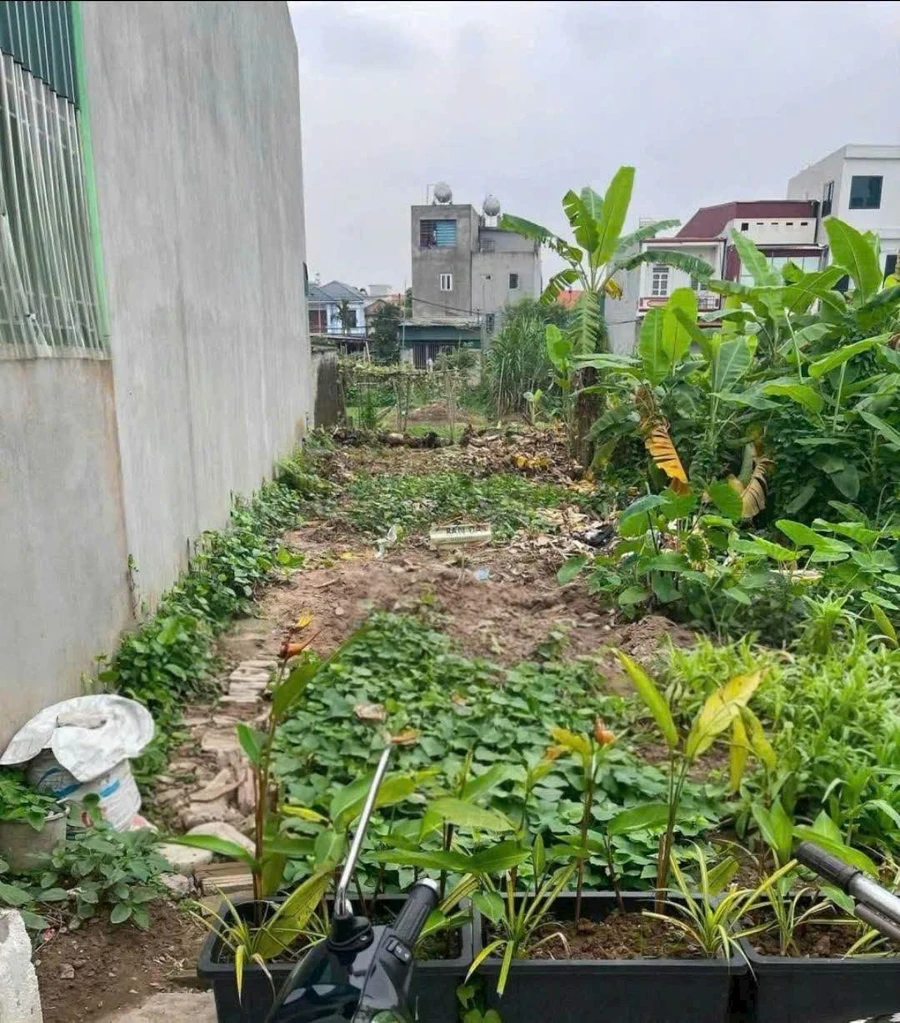 Bán đất ngõ phố Mai Độ, 79m² mặt 4m, Hải Dương 1.5 tỷ - Ảnh thu nhỏ 3