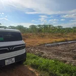 Bán đất 9.000m2 ở Ninh Điền giá 1 tỷ 2 - Ảnh thu nhỏ 4