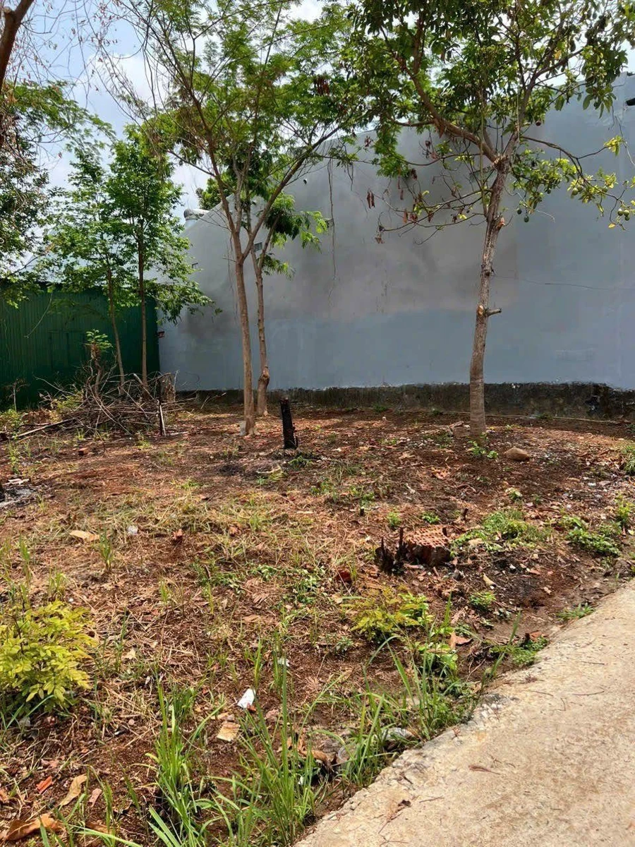Bán đất hẻm Lương Thế Vinh 96m2 (6x16m), Quận 7 - Ảnh thu nhỏ 2