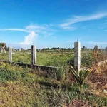 Bán đất 1300m² trồng cây ăn trái Hàm Liêm 850 triệu - Ảnh thu nhỏ 3