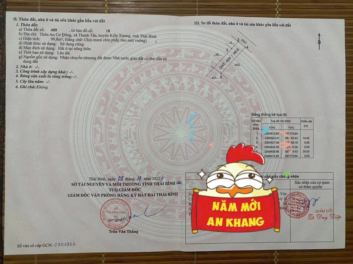 Bán đất mặt đường Kiến Xương Hưng Yên 99.8m2 - Ảnh thu nhỏ 2