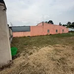 Bán đất Củ Chi 1.651,9m2 mặt tiền Nguyễn Thị Rành 15 tỷ - Ảnh thu nhỏ 4