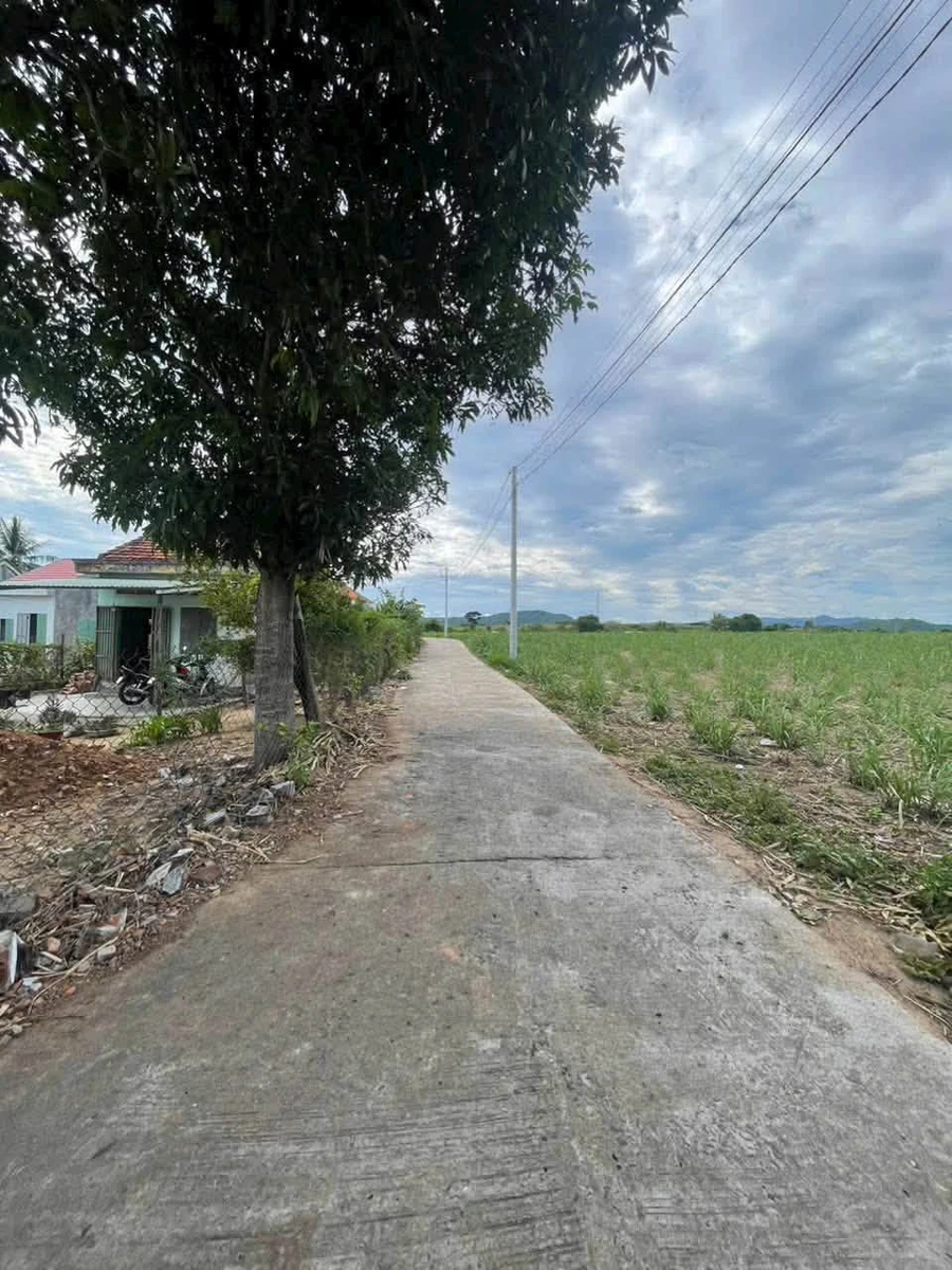 Bán đất Sơn Hòa Đắk Lắk 4000m² mặt tiền 60m - Ảnh 1