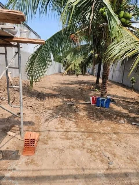 Bán đất mặt tiền Lộ Sân Bia Phú Tân Bến Tre 547m² - Ảnh thu nhỏ 3
