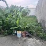 Bán đất thổ cư 5x28 sổ hồng riêng gần chợ Đình, Đức Lập, Tây Ninh giá 1,18 tỷ - Ảnh thu nhỏ 2