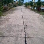 Bán đất lúa 1.500m² có 300m² thổ cư gần cổng chào cầu Trắng, đường Cao Thị Mai - Ảnh thu nhỏ 3
