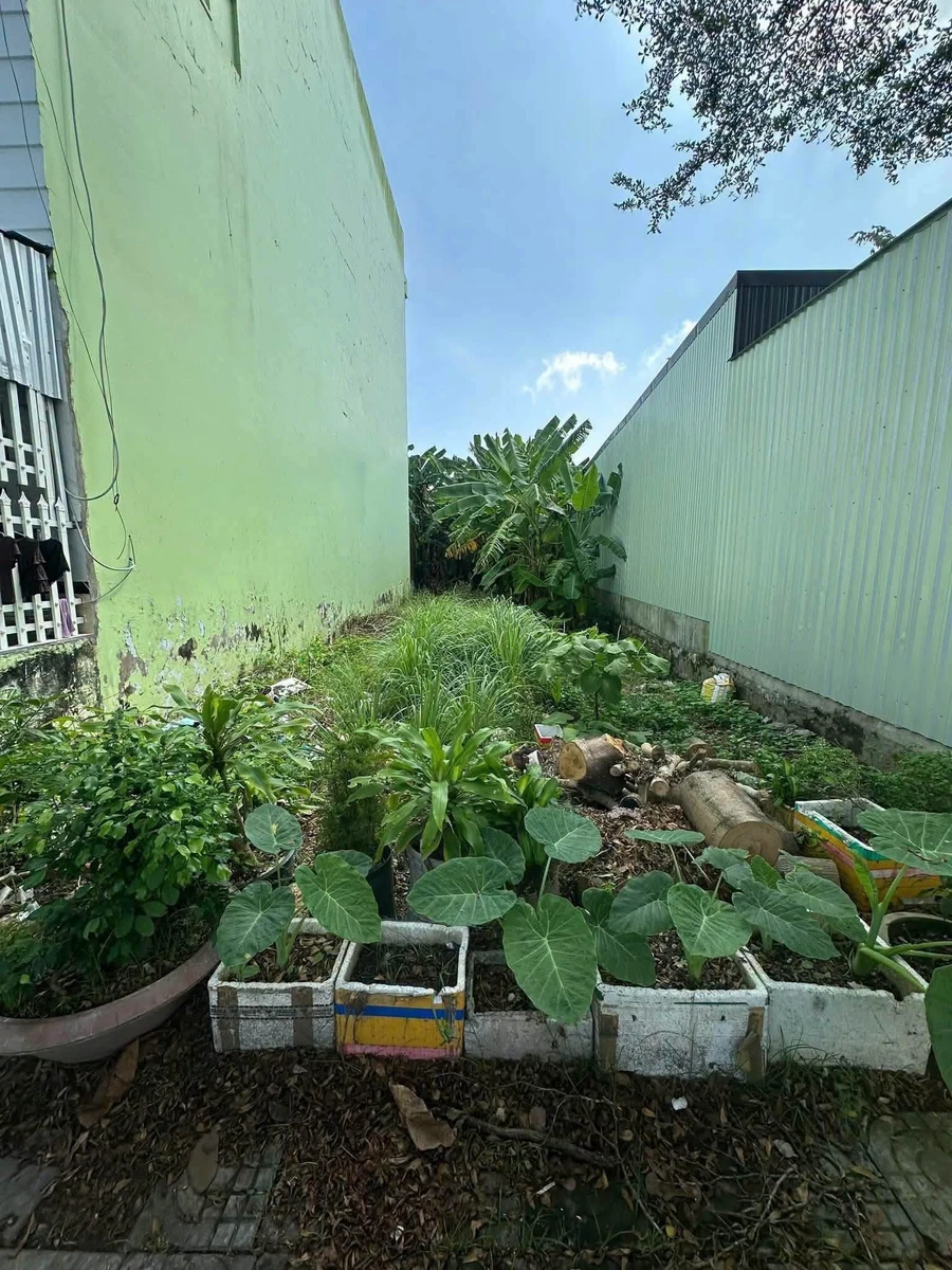 Bán nền 100m² Khu Hoàng Phát, Bạc Liêu, giá 1 tỷ 699 triệu - Ảnh thu nhỏ 2