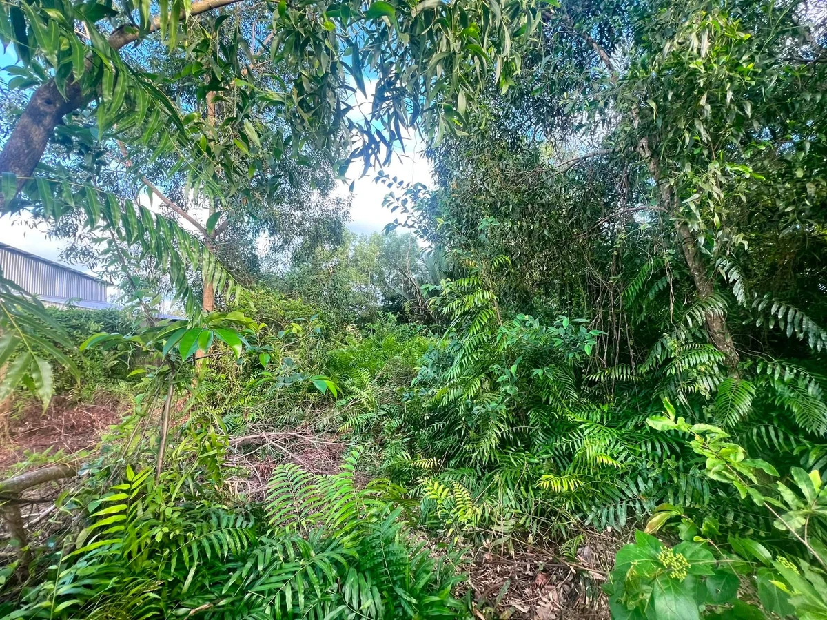 Bán lô đất nền mặt tiền kênh Chủ Chí, 824 m², Cà Mau - Ảnh thu nhỏ 2