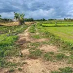 Bán đất sào Hàm Chính Bình Thuận 220 triệu - Ảnh thu nhỏ 2