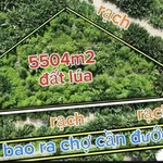 Bán lô đất 5504m2 mặt tiền đê bao Cần Dước - Ảnh thu nhỏ 3