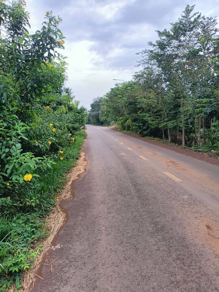 Bán 3000m² đất Xuân Đông, Đồng Nai, giá 900 triệu/sào - Ảnh thu nhỏ 2