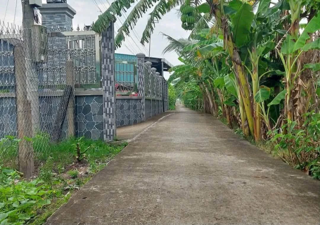 Bán đất xây nhà vườn view kênh 1339m2 Tân Trụ - Ảnh thu nhỏ 3