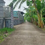 Bán đất xây nhà vườn view kênh 1339m2 Tân Trụ - Ảnh thu nhỏ 3