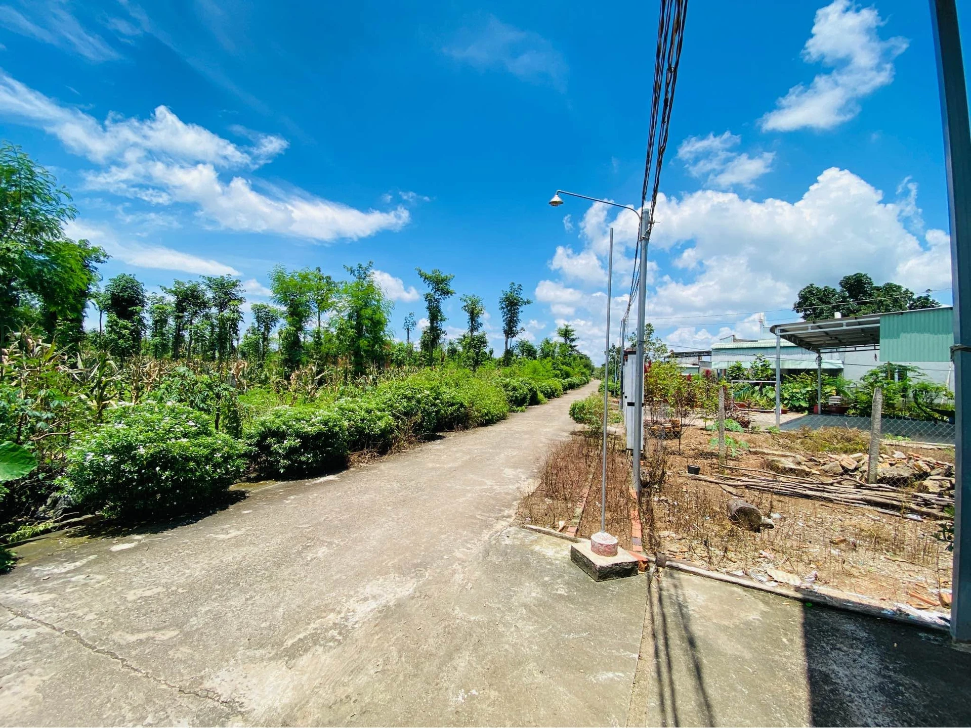 Bán đất bằng phẳng Cẩm Mỹ 1.575m² sổ sẵn - Ảnh 1