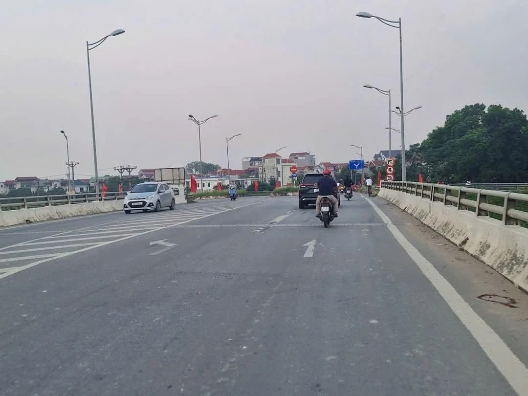 Bán đất nền Phú Tàng Sóc Sơn Hà Nội 112,5m2 1 tỷ - Ảnh thu nhỏ 4
