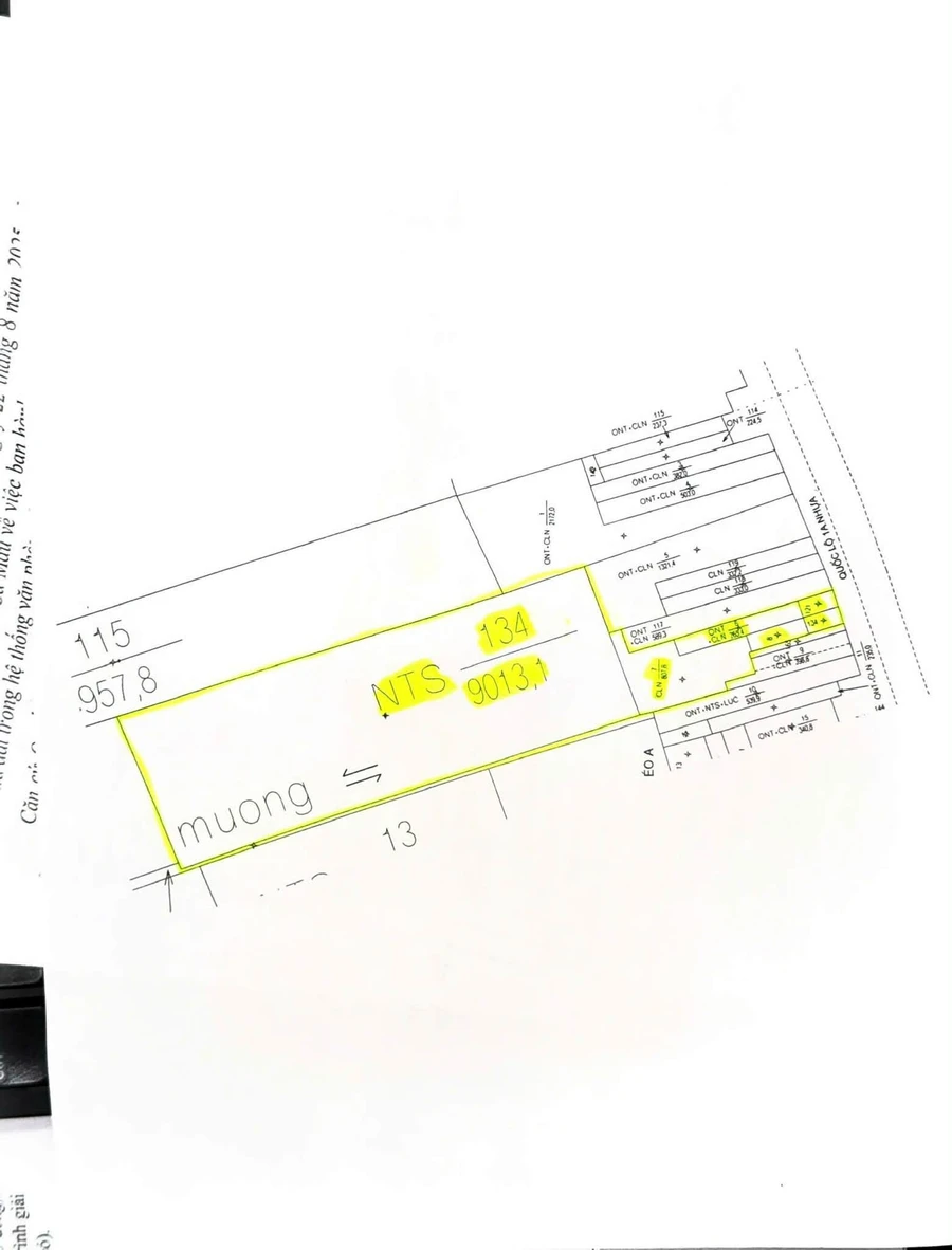 Bán đất mặt tiền Quốc lộ 1A, 10.340m², Cà Mau, 6 tỷ - Ảnh thu nhỏ 4