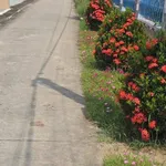 Bán đất 240m² thổ cư, 653.7m² lúa ở Long An - 2.6 tỷ - Ảnh thu nhỏ 3