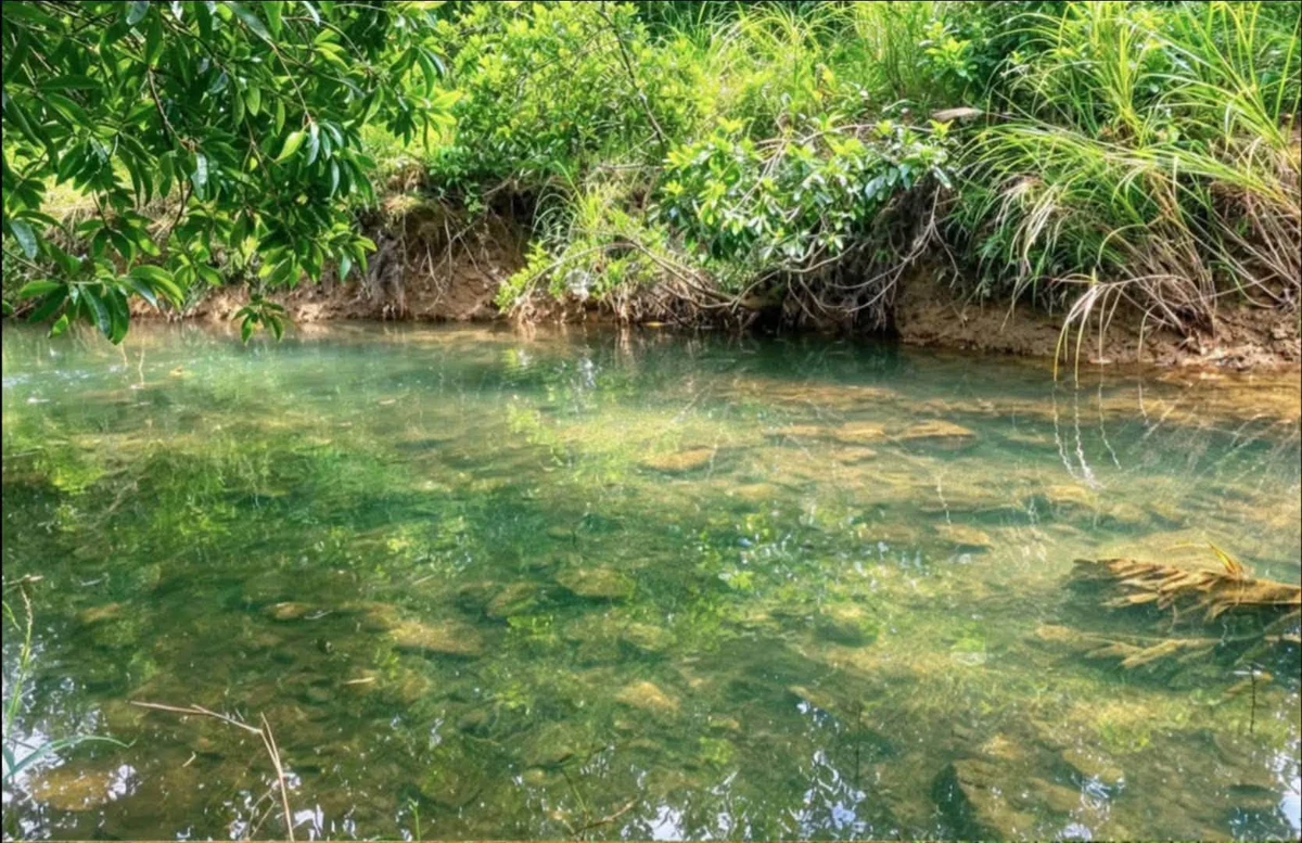 Bán đất 1.000m² có nhà nhỏ tại Phong Điền, Huế - Ảnh thu nhỏ 3
