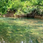 Bán đất 1.000m² có nhà nhỏ tại Phong Điền, Huế - Ảnh thu nhỏ 3