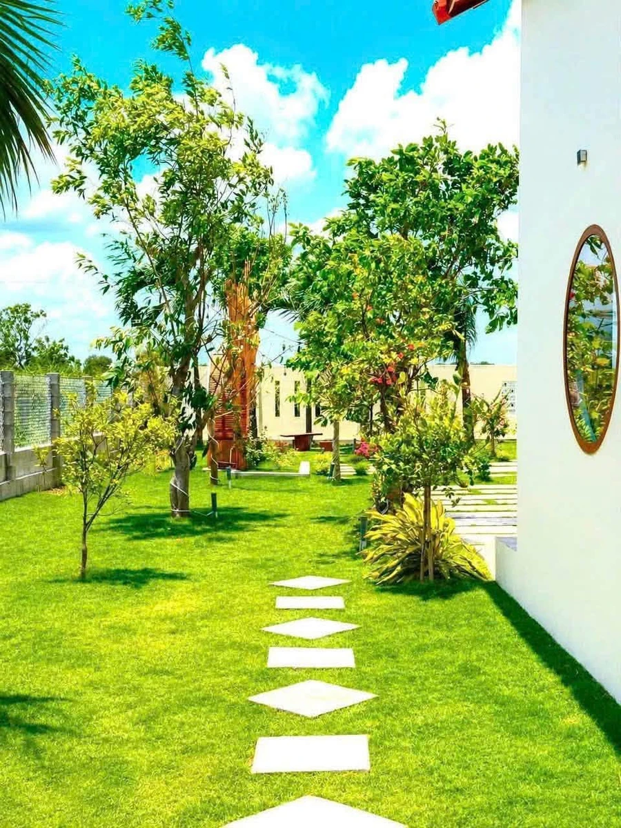 Nhà vườn nghỉ dưỡng 1.600m² Phan Thiết, 1 tỷ 850 triệu - Ảnh thu nhỏ 4