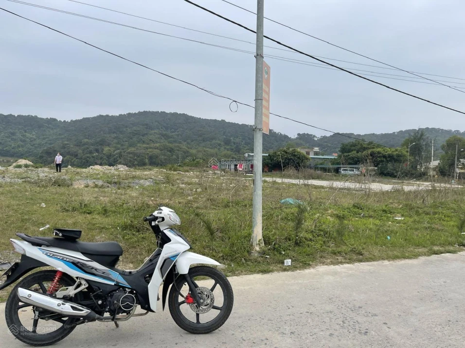 Cần bán gấp đất Thanh Lân, Cô Tô, Quảng Ninh, giá 1,2 tỷ/140m2 khu đấu giá - Ảnh thu nhỏ 3