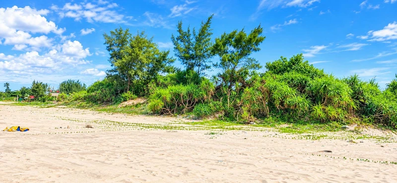 Bán homestay 390m² đất ở Châu Tân, Quảng Ngãi gần biển