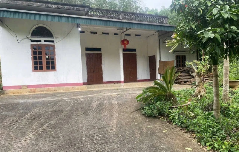 Bán đất Sơn Dương Tuyên Quang 7.500m² hơn 1 tỷ