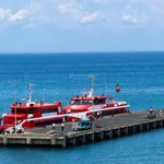 Quang Vinh chào bán nhà và đất. 256m2 thổ cư ngay bãi tắm thắng cảnh Hang Cau đường ô tô - Ảnh thu nhỏ 3