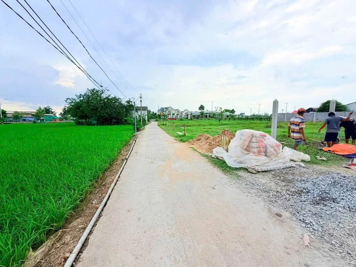 Bán đất xây nhà vườn 725m² Đức Tân Tân Trụ - Ảnh thu nhỏ 2