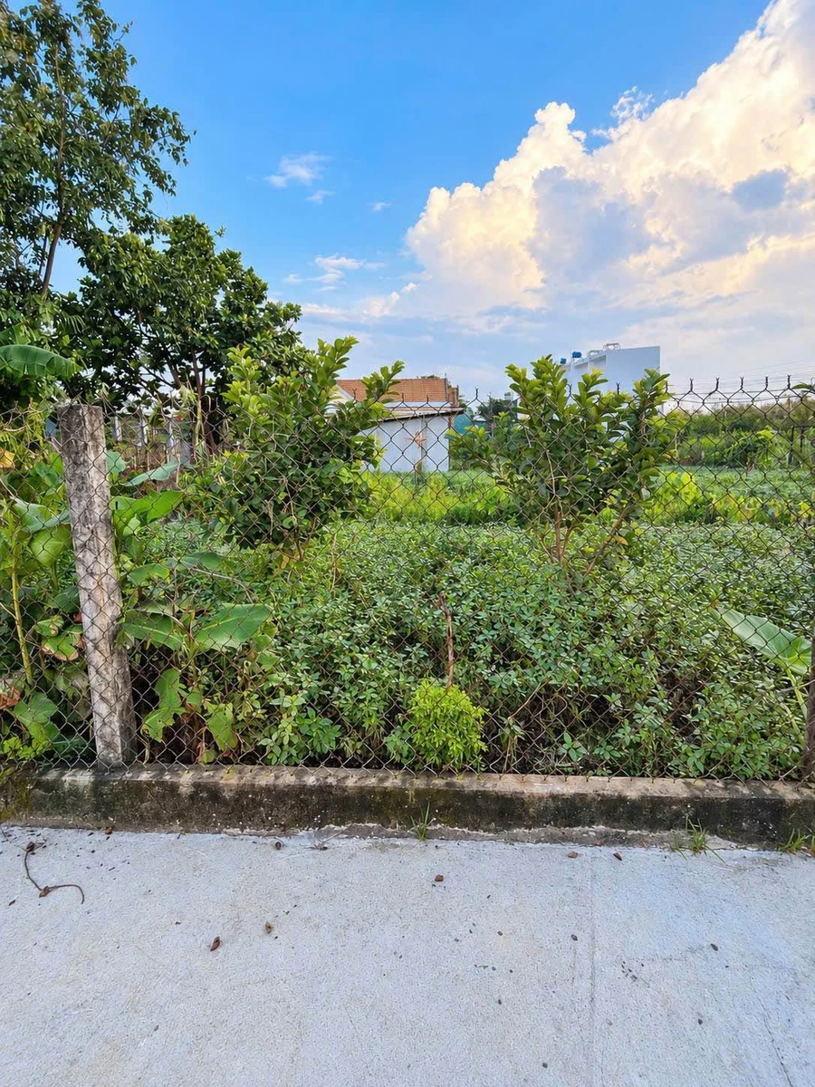 Bán đất vườn 489m² Mỹ Lộc Phước Hậu Tây Ninh 1tỷ 400 triệu - Ảnh thu nhỏ 4