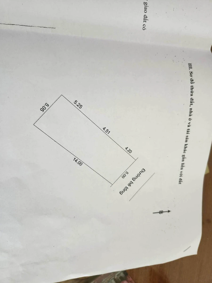 Bán lô đất 70m2 đường Lê Đình Kỵ, Quận 5 - Ảnh 1