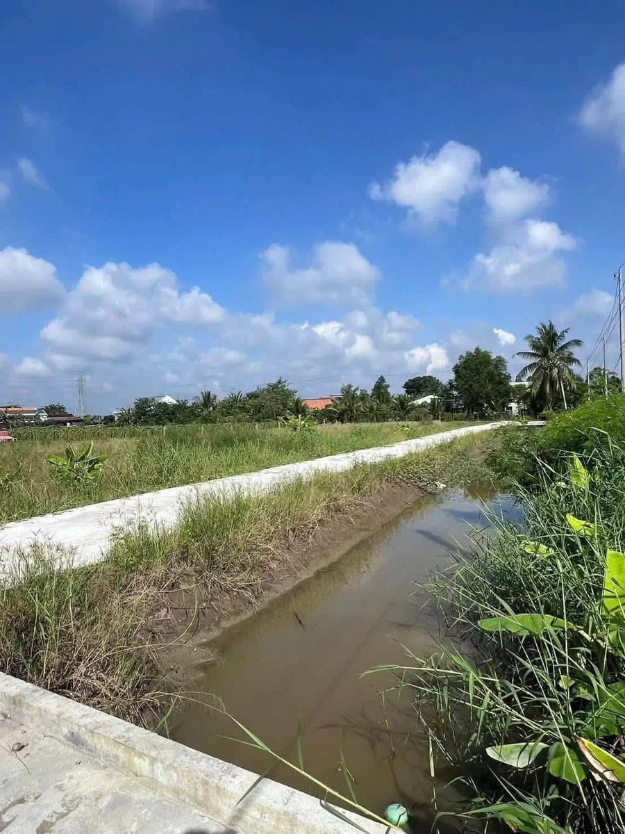Bán đất thổ Châu Thành Long An 145m2 355 triệu - Ảnh thu nhỏ 4
