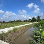Bán đất thổ Châu Thành Long An 145m2 355 triệu - Ảnh thu nhỏ 4